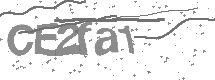 Doğrulama Kodu